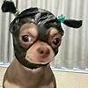 hira_90582