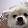 user_301219