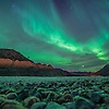 fatema_50302