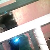 liza_87655