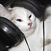 sergey_38666