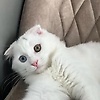 llainie_97633