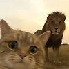imane_37152