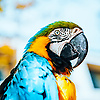 user_303707