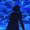 ana_62846