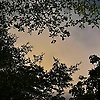 user_48280