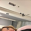 alondra_81530