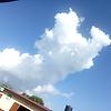 modoulamin_22657