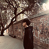 ahmed_41529