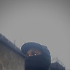 alex_69218