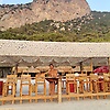 mert_70018
