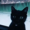 mizi_40751