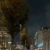 anny_3