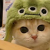 malak_64542