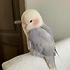 zabrinna_87962