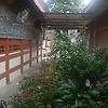 roni_49275
