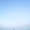 z_66396