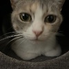 kaykay_05