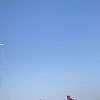 bing_81810