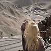 user_89365