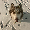 marlon_84657