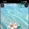 jana_64187