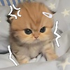 hanjisung.baraa