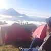 nivaa_13096