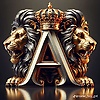 Anwarkingqn.17