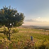 melisa_91522