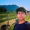 Icuris