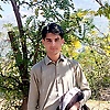 abid_29230