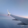 sophie_94660