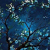sevgi_58628