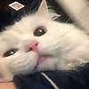 olivia_99790