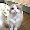 d1ana_7777