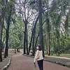 Elaumbrella_