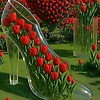 bernard_80159