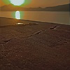 bilal_37631