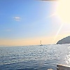dudu_30226