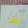 koalajudit_13388