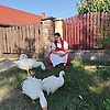 Panni_Orosz