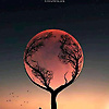 ahmedyzx_81464