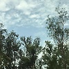 mahnoor_66151