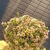 asma_70924