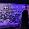 az_93456