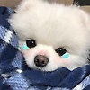 yiran_42298