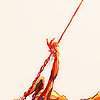 azir_12313