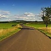 anas_22116