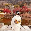 reni_88402